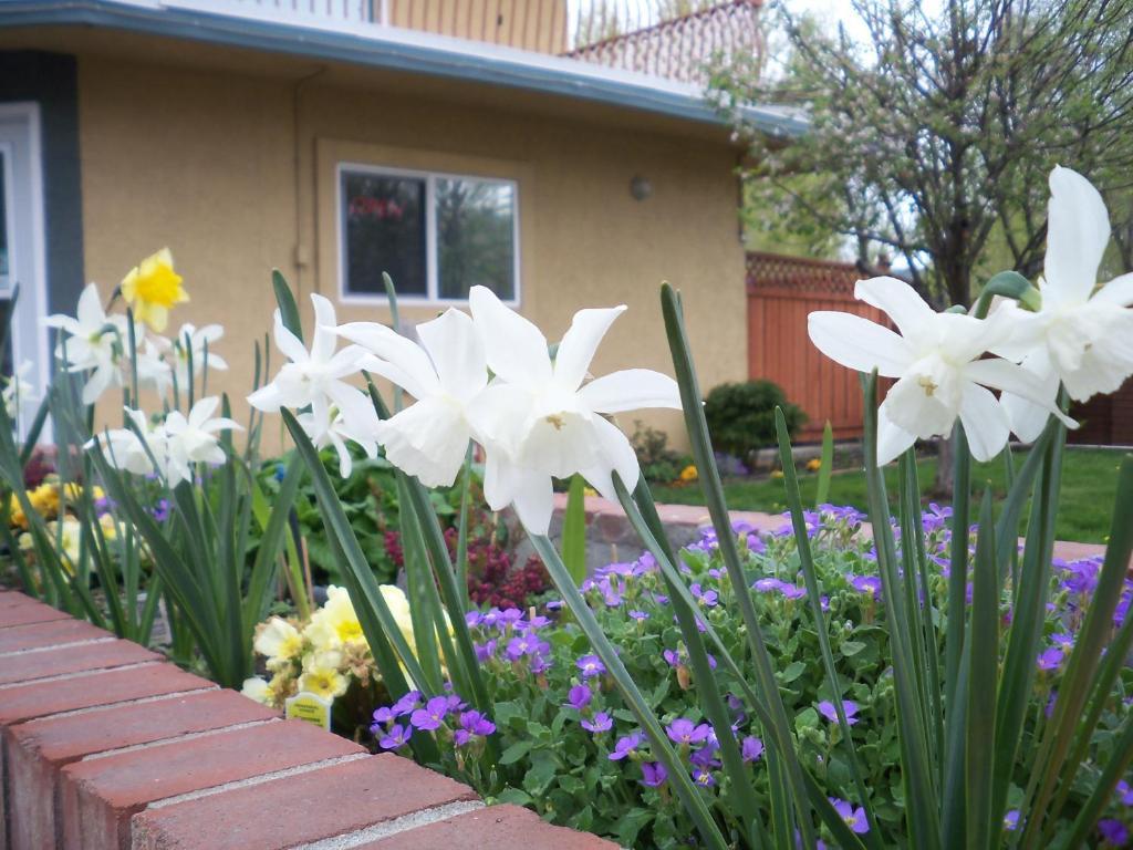 Lakeside Villa & Nordic Spa Penticton Exterior photo